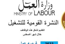 وزارة العمل تُصدر نشرة التوظيف نصف الشهرية.. بالتعاون مع القطاع الخاص