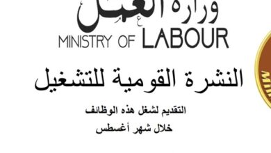 وزارة العمل تُصدر نشرة التوظيف نصف الشهرية.. بالتعاون مع القطاع الخاص