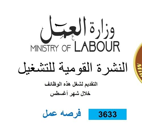 وزارة العمل تُصدر نشرة التوظيف نصف الشهرية.. بالتعاون مع القطاع الخاص