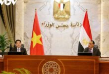 رئيس جمهورية فيتنام يصدر بيانًا صحفيًا عقب اجتماعه مع رئيس وزراء جمهورية مصر