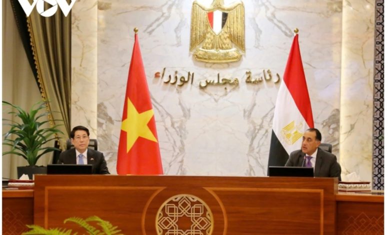 رئيس جمهورية فيتنام يصدر بيانًا صحفيًا عقب اجتماعه مع رئيس وزراء جمهورية مصر