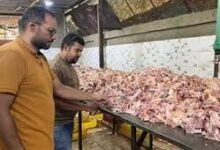 محافظة الجيزة: ضبط ١٣٫٥ طن لحوم ودواجن ومنتجات حيوانية فاسدة