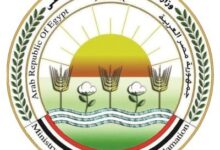 بيان إعلامي بخصوص اسباب نفوق الأسماك في مزارع بحيرة المنزلة