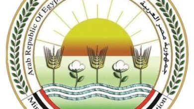 بيان إعلامي بخصوص اسباب نفوق الأسماك في مزارع بحيرة المنزلة