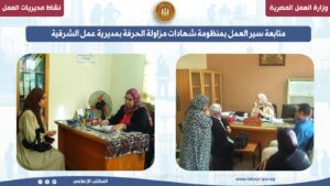 نشاط 10 مديريات عمل بالمحافظات