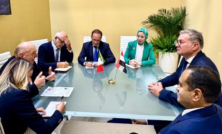 وزير البترول يبحث سبل التعاون مع وزير البيئىة والطاقة الايطالى
