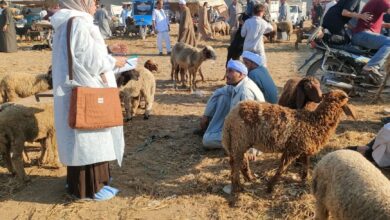 "الخدمات البيطرية" تنفذ 8 آلاف زيارة للتقصي النشط خلال أغسطس الماضي