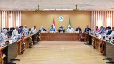 محافظ الشرقية يترأس إجتماع اللجنة العليا للإستثمار