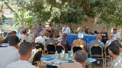 "بحوث الثروة السمكية" و"الدولي للأسماك" ينظمان ورشة عمل بكفر الشيخ