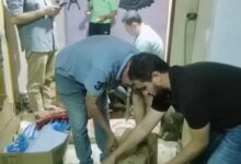 تحرير11 محضر مخالفة فى حملات بالشرقية