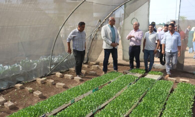 القليوبية تحتفل بعيد الفلاح الـ73