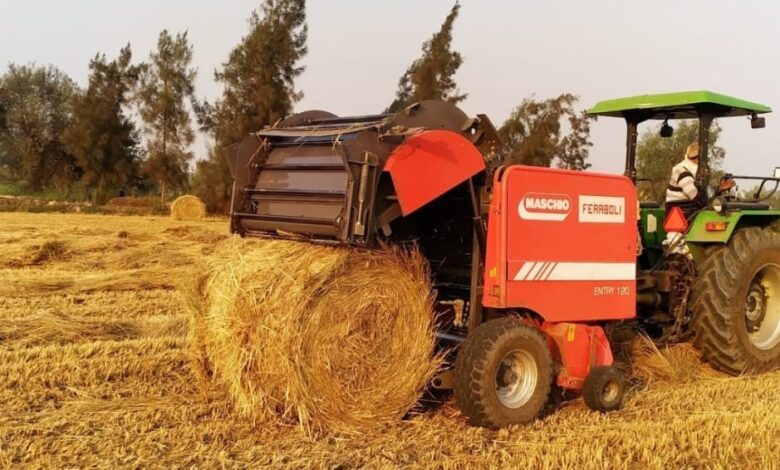  البيئة بالشرقية :تجميع 12780 طن قش أرز فى بداية الحصاد