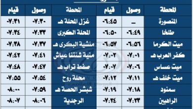 تشغيل عدد من الرحلات المخصوصة من والي مدينة طنطا يوم الجمعة 17 / 10 / 2025