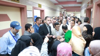 نائب وزير الصحة يبحث مع محافظ كفر الشيخ التعاون في تطوير المنظومة الصحية بالمحافظة