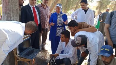 "الزراعة" تكثّف جهود الرعاية التناسلية والتحسين الوراثي للماشية خلال سبتمبر