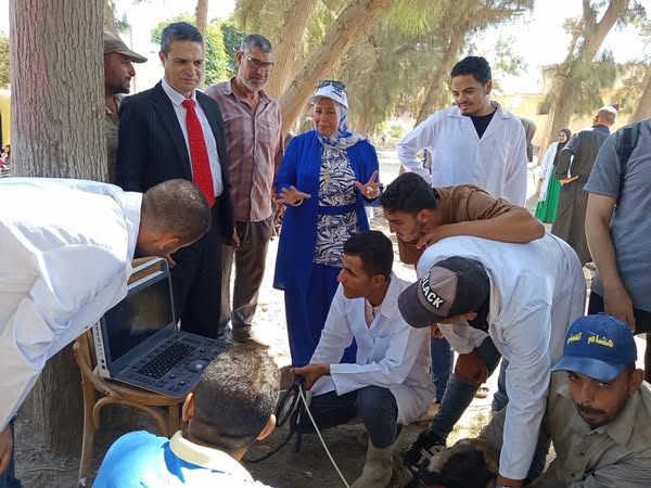 "الزراعة" تكثّف جهود الرعاية التناسلية والتحسين الوراثي للماشية خلال سبتمبر