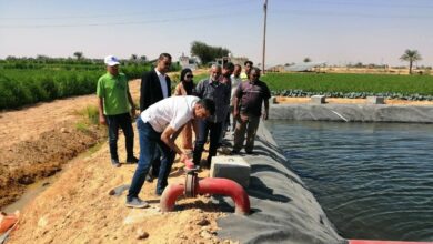 "الزراعة" تتابع مشروعات تطوير وتحديث الري ودعم المزارعين في المنيا وبني سويف