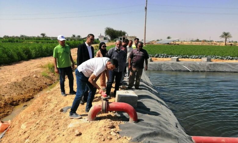 "الزراعة" تتابع مشروعات تطوير وتحديث الري ودعم المزارعين في المنيا وبني سويف