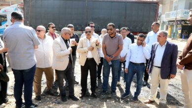 محاافظ الشرقية يتفقد أعمال رصف طريق النكارية القنايات