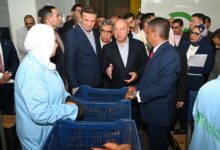 نائب رئيس مجلس الوزراء للتنمية الصناعية وزير الصناعة والنقل ووزير الزراعة و ومحافظ الدقهلية يفتتحون مصنعاً لتصدير الحاصلات الزراعية
