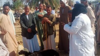 الزراعة" تنفذ أكثر من 2,800 ندوة توعوية استعدادًا للحملة القومية