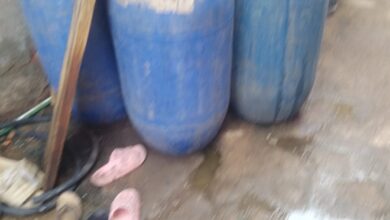 صحة القليوبية تضبط طن مخللات متغيرة الخواص الطبيعيه غير صالحة بالقناطر الخيرية