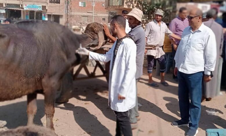 محافظ كفرالشيخ: تحصين أكثر من 163 ألف رأس حيوان
