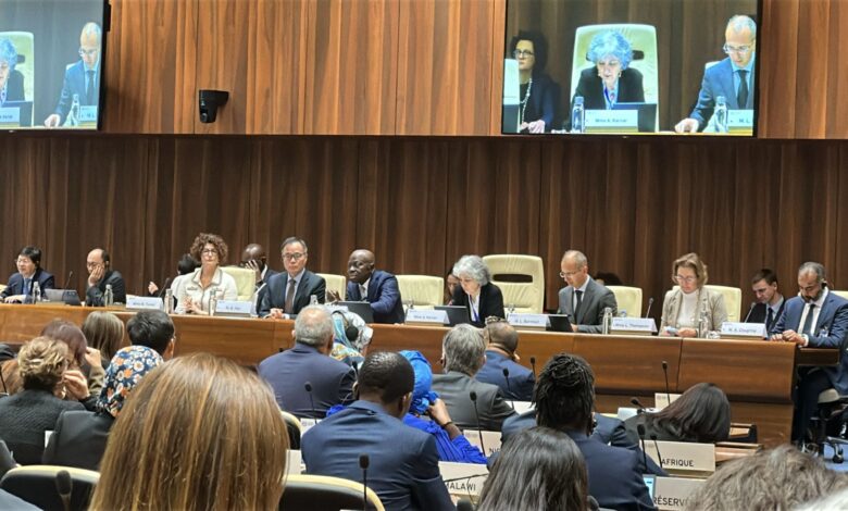 وزير العمل : يشارك في اجتماعات مجلس إدارة منظمة العمل الدولية في جنيف