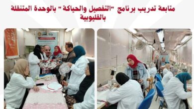 نشاط 10 مديريات عمل بالمحافظات.. ندوات .. مبادرات .. وحملات تفتيشية