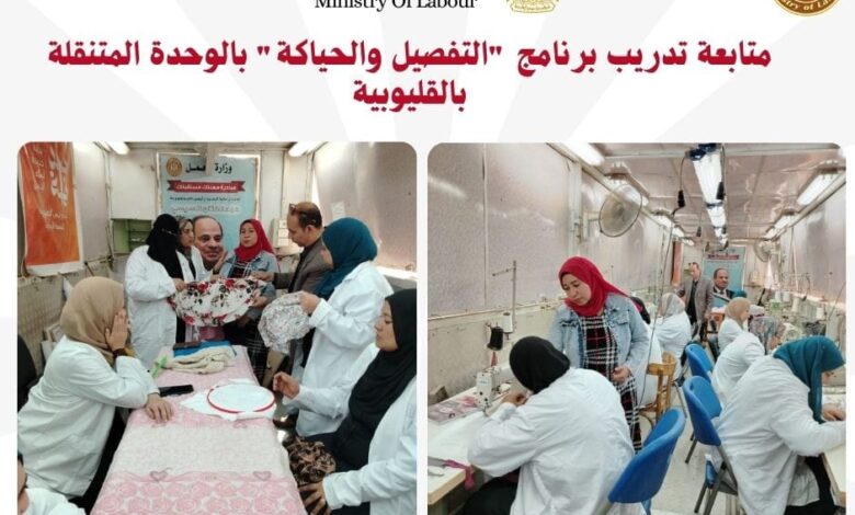 نشاط 10 مديريات عمل بالمحافظات.. ندوات .. مبادرات .. وحملات تفتيشية