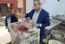 أخطر محاولات الغش التي تهدد صحة المواطنين في مصنعات اللحوم الجاهزة بشبرا الخيمة