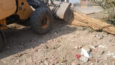 "الزراعة" : تتابع إزالة التعديات على الأراضي الزراعية ضمن حملة مكبرة بالجيزة