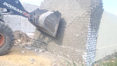 "الإصلاح الزراعي" تزيل 150 حالة تعدي وتضخ 5 ملايين بيضة بالأسواق