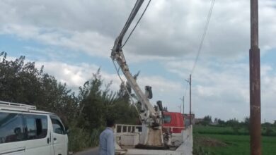 رفع كفاءة الانارة العامة بالطرق الرئيسية بمداخل مدينة بقلين