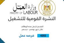 وزارة العمل :4202 فرصة عمل جديدة في 53 شركة بـ 14 محافظة