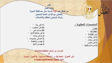 وزارة العمل: 157 فرصة عمل جديدة بالجيزة بالتعاون مع شركة البابطين للطاقة والاتصالات