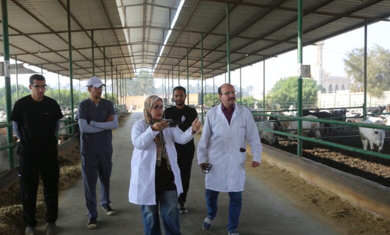 "الزراعة" تعلن تحصين أكثر من 6.5 مليون جرعة وتحث المربين على التعاون مع الحملة