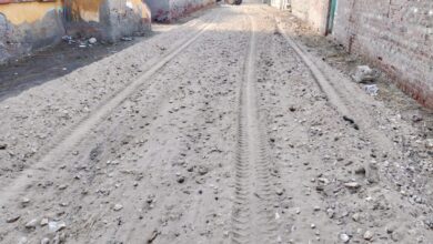 رفع كفاءة شوارع قرية الثمانين بالحامول.. واشادة بالمشاركة المجتمعية