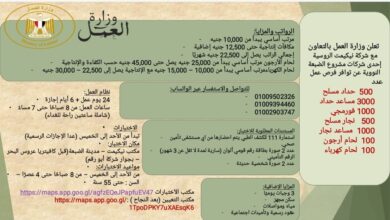 وزارة العمل : 4500 فرصة عمل جديدة بمشروع الضبعة النووي بالتعاون مع شركة بتروجيت