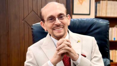 الفنان محمد صبحى