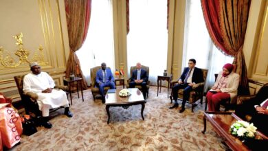 وزير الصناعة والنقل يشارك في اجتماعات اللجنة المصرية التشادية المشتركة