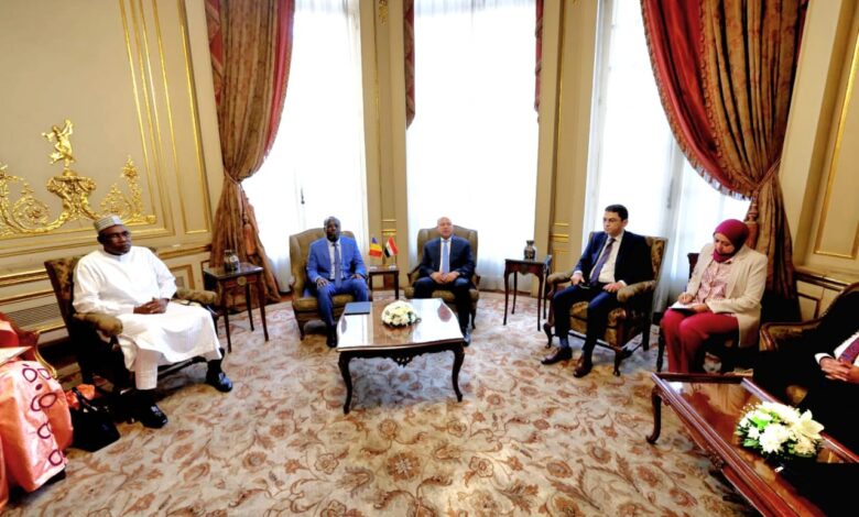 وزير الصناعة والنقل يشارك في اجتماعات اللجنة المصرية التشادية المشتركة