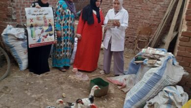 الزراعة" تطلق حملات توعوية مكثفة لتعزيز الأمن الحيوي في قطاع الدواجن المصري