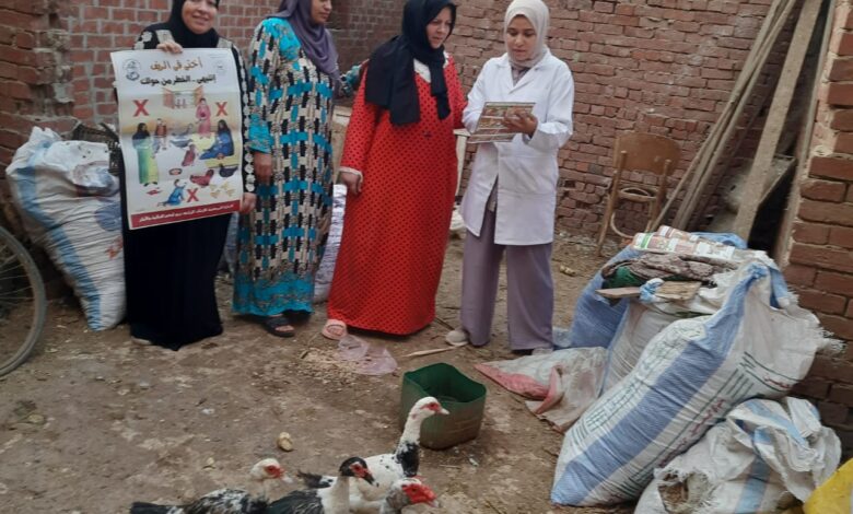 الزراعة" تطلق حملات توعوية مكثفة لتعزيز الأمن الحيوي في قطاع الدواجن المصري