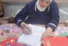 قلب المنظومة الصحية...بقلم / دعاء محمد احمد