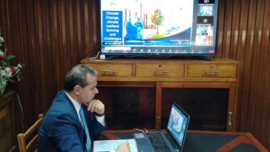 "الزراعة" تنظم ورشة عمل بالتعاون مع منظمة "سيكا" لدعم الأمن الغذائي