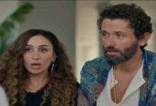 دينا الشربيني لكريم محمود عبد العزيز "طلقني"