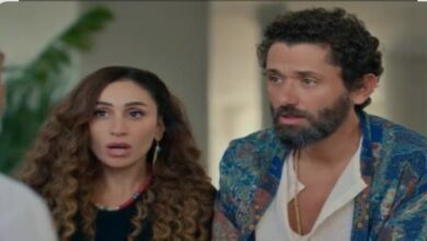 دينا الشربيني لكريم محمود عبد العزيز "طلقني"