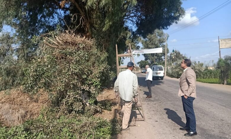 رفع كفاءة طريق قلين الشين وتهذيب الأشجار المتداخلة بخطوط الانارة