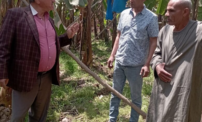 "الزراعة": أكثر من مليون شتلة فراولة تم تصديرها خلال أكتوبر